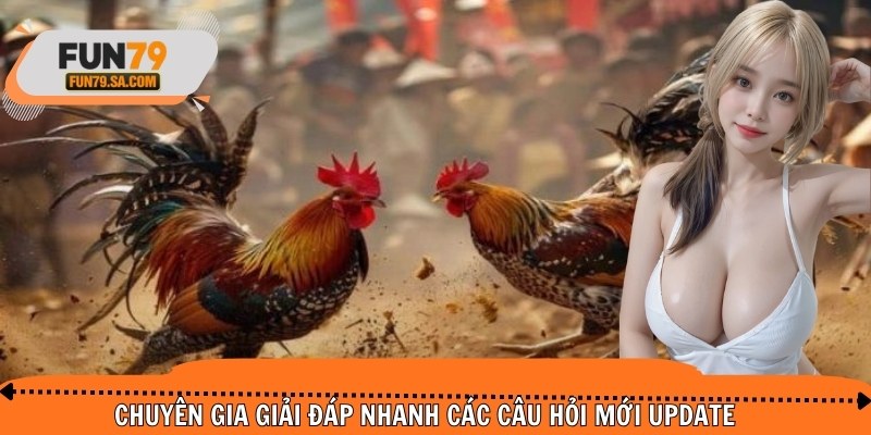 Chuyên gia giải đáp nhanh các câu hỏi mới update